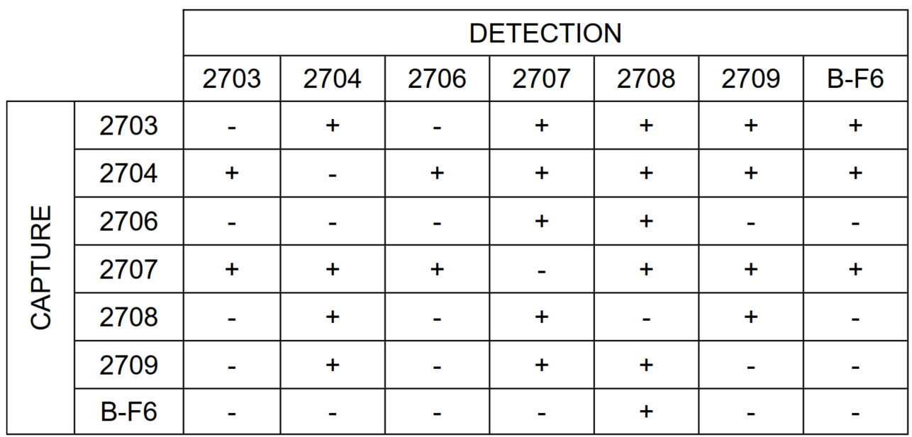 Anti-h IL-6 2708 SPTN-5